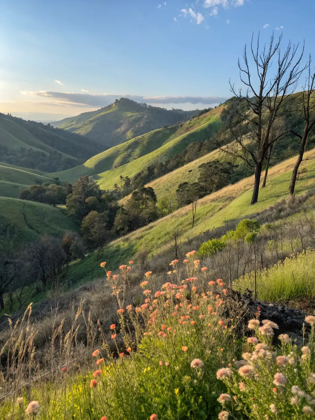A scenic view of a pristine rural landscape, illustrating R.A.C.I.N.E.'s commitment to environmental awareness and sustainability.